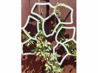 Podpory rostlin – Tessa Flower opora pro rostliny ECOO