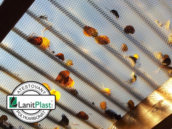 Polykarbonátová vlnitá deska Lanit Plast CSE VL Diamond