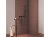 Ravak 974.60RGB Sprchová tyč s držiakom, Rose Gold Brushed