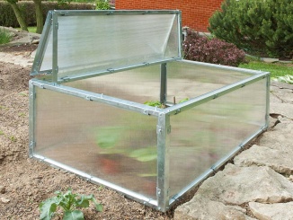 Termesztés – Limes SP 5