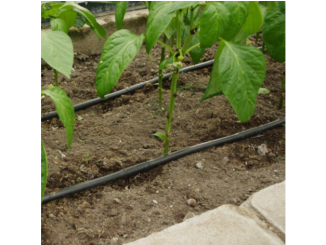 Üveg – Covernit Kapkové zavlažování pro skleníky Drop