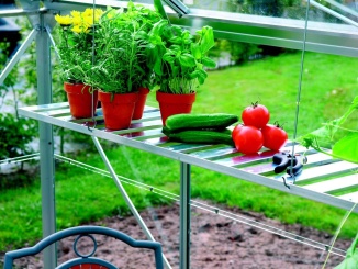 Üveg – Függesztett polc Vitavia