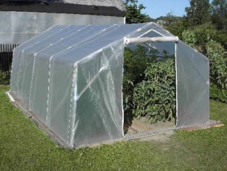 Üvegházi berendezések – Scobax Growspot Cannabo 2