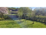 VespaGarden Zahradní fóliovník 2x3m VESPAGARDEN extra silný - 6m2 zelený