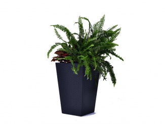 Zahrada – Keter Květináč Rattan Planter S 23,6 l grafitový