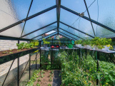 Zahradní skleník ACD Belgium Piccolo